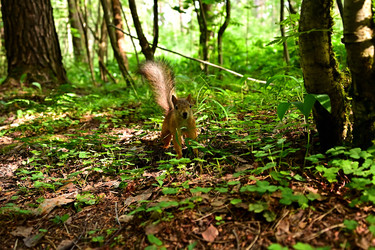 Similar image 22244983