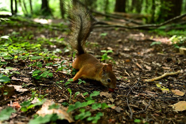 Similar image 22244984