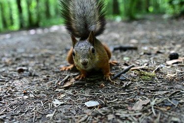 Similar image 22244994