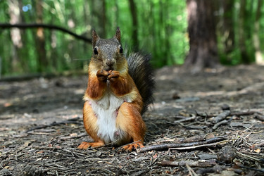 Similar image 22244995