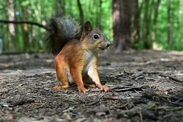 Similar image 22245016