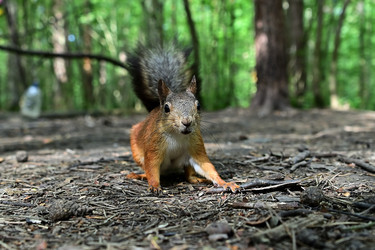 Similar image 22245017