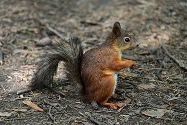 Similar image 22245018