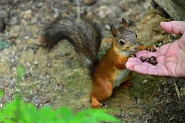 Similar image 22245021