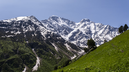 Similar image 22237411