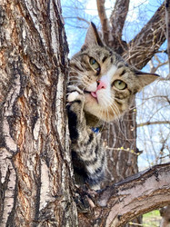 Similar image 22243283