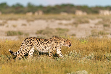 Similar image 22241898