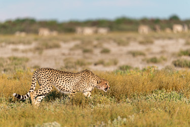 Similar image 22241899