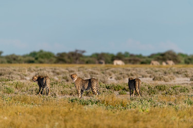 Similar image 22241907