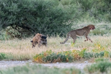 Similar image 22241913