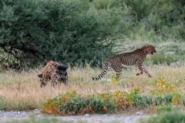 Similar image 22241914