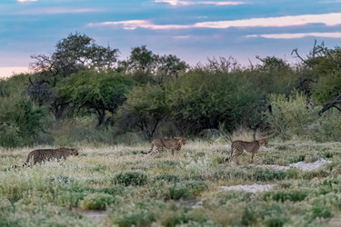 Similar image 22241917