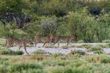 Similar image 22241918