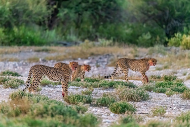 Similar image 22241920