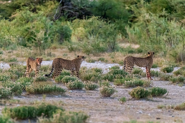 Similar image 22241921