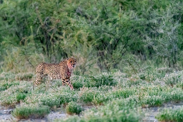 Similar image 22241924