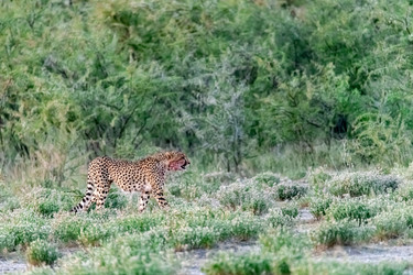 Similar image 22241925