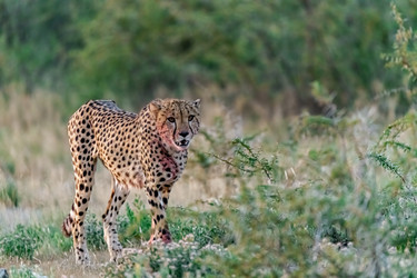 Similar image 22241927