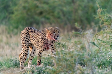 Similar image 22241928