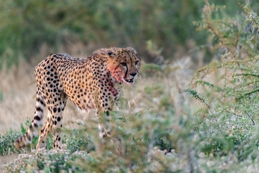 Similar image 22241930