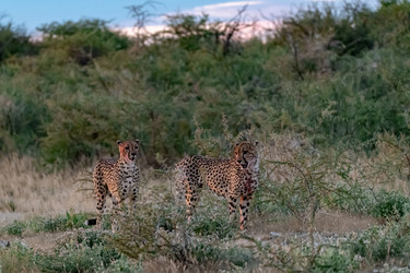 Similar image 22241931