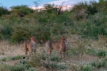 Similar image 22241932