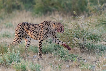 Similar image 22241934