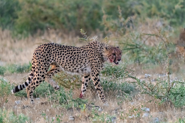 Similar image 22241937