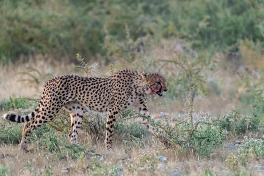 Similar image 22241939