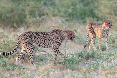 Similar image 22241941