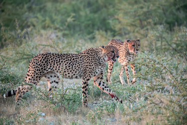 Similar image 22241943