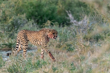 Similar image 22241945