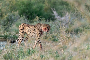 Similar image 22241946