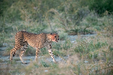 Similar image 22241947