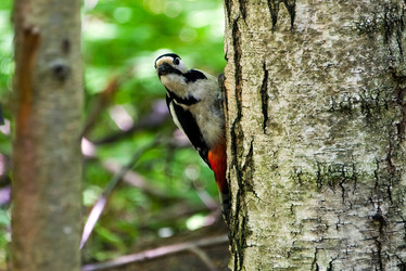 Similar image 22245005