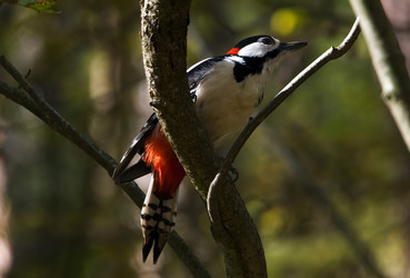 Similar image 22245006