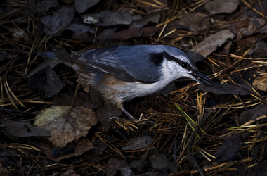 Similar image 22245007