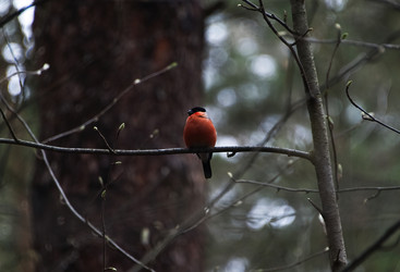 Similar image 22245027