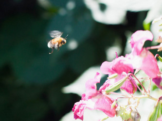 Similar image 22243504