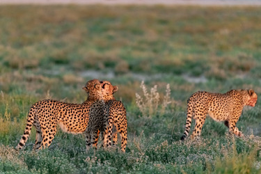 Similar image 22243017