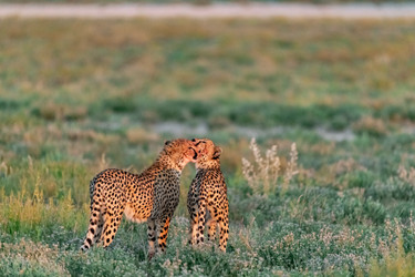 Similar image 22243020