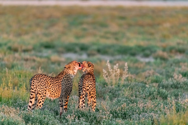 Similar image 22243021