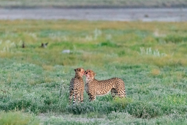 Similar image 22243022