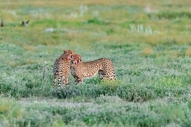 Similar image 22243023