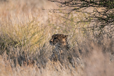 Similar image 22243025