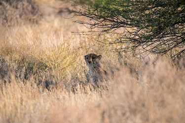 Similar image 22243026