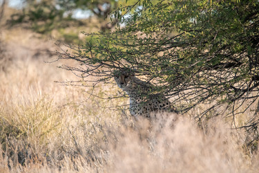 Similar image 22243027