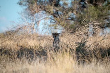 Similar image 22243028