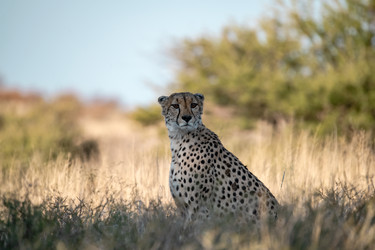 Similar image 22243029