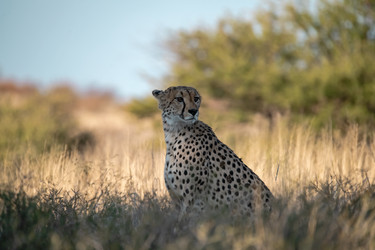 Similar image 22243030